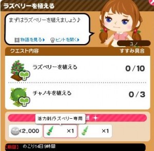 クエスト