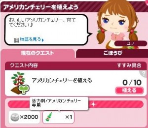 アメリカンチェリークエスト1