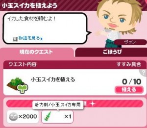 小玉スイカクエスト1