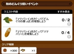 マテバシイ1