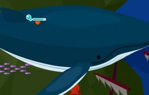 沖縄の鯨