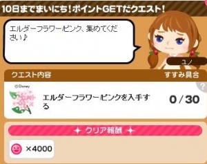 ポイントクエスト