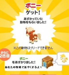 ポニー