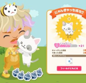 にゃんきゃっち