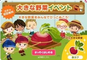大きな野菜イベント〜赤カブ編
