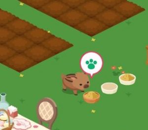 猪
