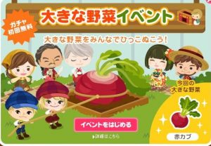 大きな野菜イベント〜赤カブ～